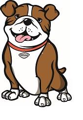  Single Plan for Student Achievement